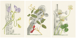 Fundraising art for Maitland's 'Art and Dementia'  program