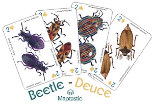 Sticker designs for Maptastic